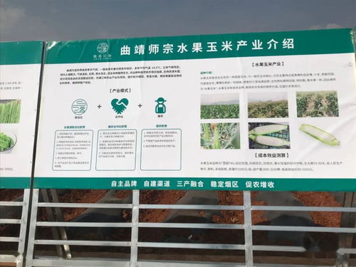 推廣有機肥改良土壤結(jié)構(gòu)，云南國發(fā)助力師宗煙草綠色高質(zhì)量發(fā)展