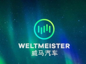 從被冷落到全網(wǎng)刷屏 一則廣告如何讓國產(chǎn)新能源車引爆美國市場(chǎng)