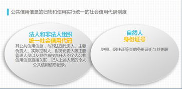 《廈門經(jīng)濟(jì)特區(qū)社會信用條例》深度解讀 為社會經(jīng)濟(jì)咨詢服務(wù)業(yè)注入新動能
